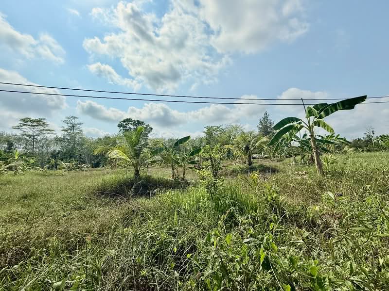 For Sale - โครงการ : ที่ดินนายายอาม จันทบุรี, Chanthaburi