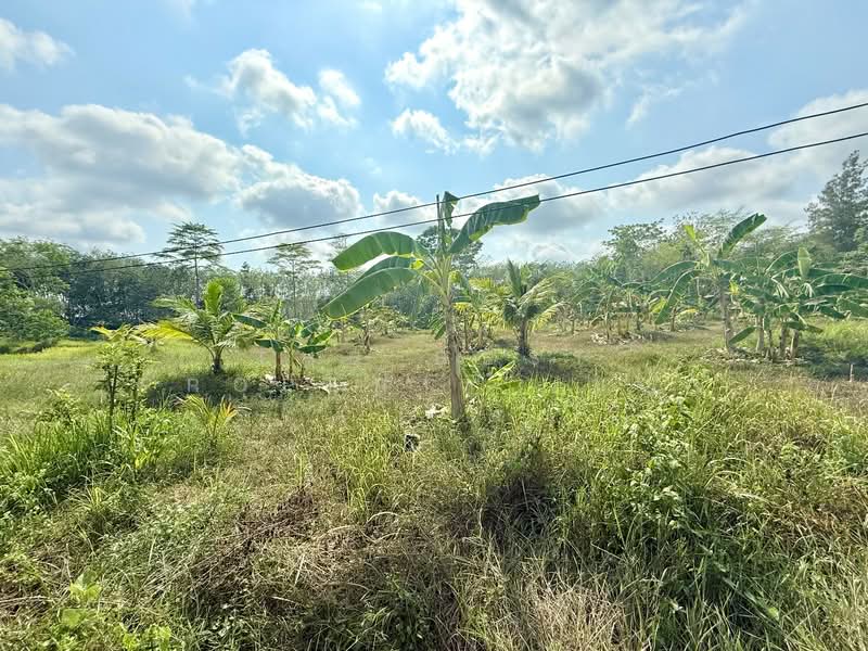 For Sale - โครงการ : ที่ดินนายายอาม จันทบุรี, Chanthaburi