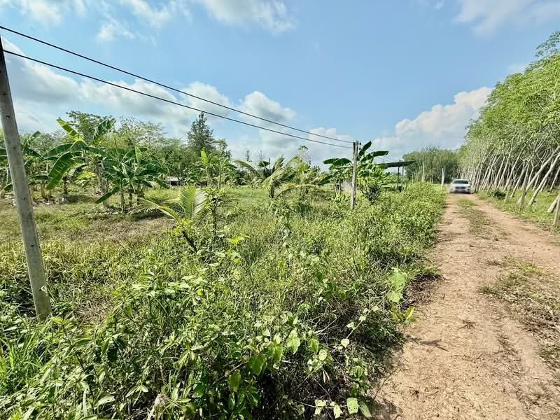 For Sale - โครงการ : ที่ดินนายายอาม จันทบุรี, Chanthaburi