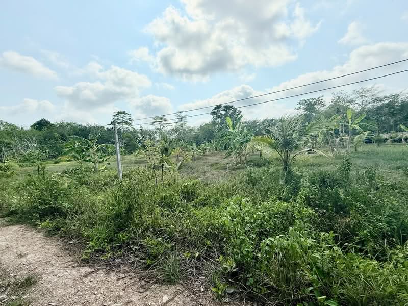 For Sale - โครงการ : ที่ดินนายายอาม จันทบุรี, Chanthaburi