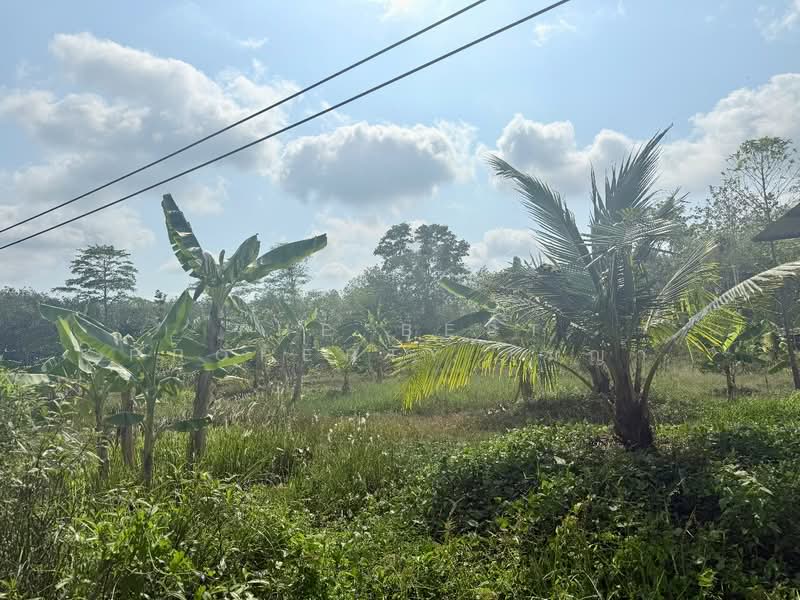 For Sale - โครงการ : ที่ดินนายายอาม จันทบุรี, Chanthaburi