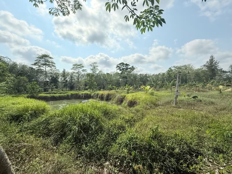 ขาย - โครงการ : ที่ดินนายายอาม จันทบุรี, จันทบุรี