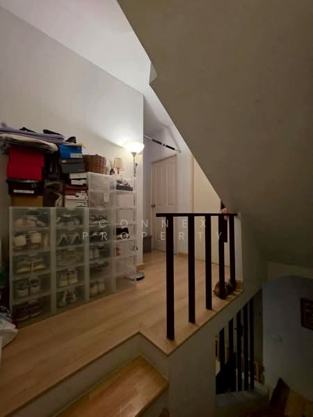 Areeya Daily Kaset-Nawamintr, Bangkok, Ladplakhao Road, Chorake Bua, Lat Phrao, Bangkok, 3 Bedrooms, 160 sqm, Townhouse For Sale, by Connex Property, 500212605 - DDproperty.com