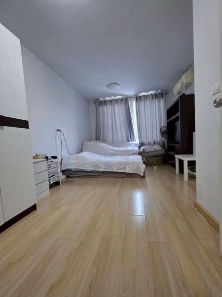Areeya Daily Kaset-Nawamintr, Bangkok, Ladplakhao Road, Chorake Bua, Lat Phrao, Bangkok, 3 Bedrooms, 160 sqm, Townhouse For Sale, by Connex Property, 500212605 - DDproperty.com