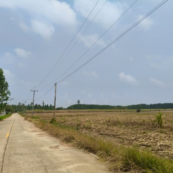 ขาย - ที่ดินบ่อทอง ชลบุรี, ชลบุรี