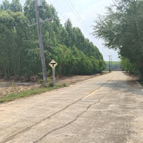 ขาย - ที่ดินบ่อทอง ชลบุรี, ชลบุรี