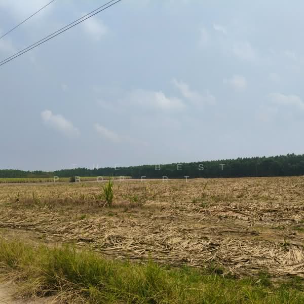 ขาย - ที่ดินบ่อทอง ชลบุรี, ชลบุรี