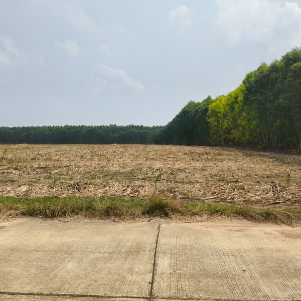 ขาย - ที่ดินบ่อทอง ชลบุรี, ชลบุรี