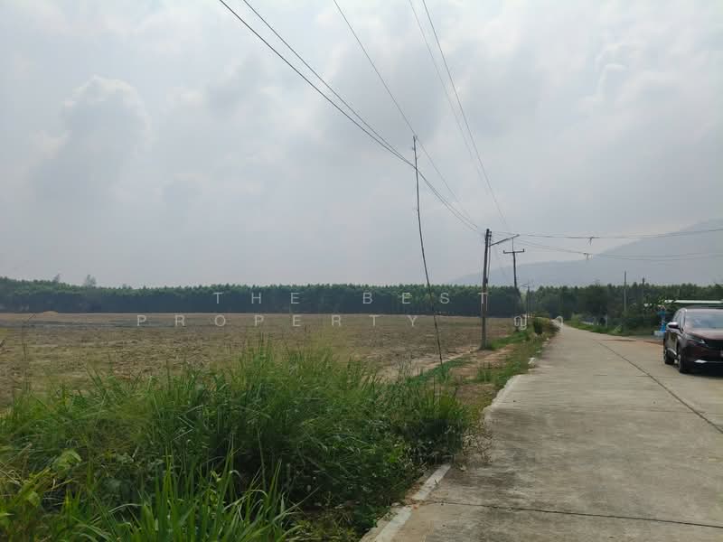 ที่ดินบ่อทอง ชลบุรี, Chon Buri (Pattaya), That Thong, Bo Thong, Chon Buri (Pattaya), , 20,300 sqm, Land For Sale, by The Best Property  ญา, 500212647 - DDproperty.com