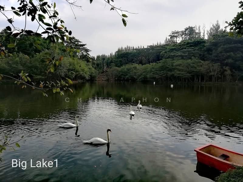 Swan Lake Residences Khao Yai, Nakhon Ratchasima, Rural Road NMA.3052, Pong Ta Long, Pak Chong, Nakhon Ratchasima, 1 Bedroom, 70 sqm, Condo For Sale, by Chitraphon Iamphet, 500212715 - DDproperty.com