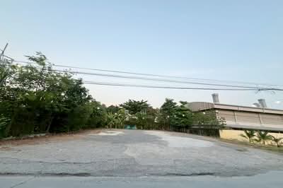 ขาย - ขายที่ดิน 91 ตรว.ถมแล้ว ซอยประเสริฐมนูกิจ 25 (เกษตร-นวมินทร์) ลาดพร้าว, กรุงเทพ
