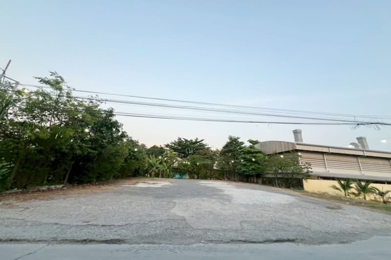 ขาย - ขายที่ดิน 91 ตรว.ถมแล้ว ซอยประเสริฐมนูกิจ 25 (เกษตร-นวมินทร์) ลาดพร้าว, กรุงเทพ