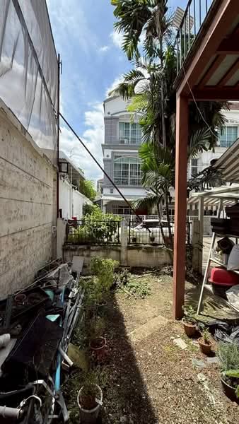 Baan Klang Muang Ratchada-Ladprao, Bangkok, Soi Ban Klang Mueang Yaek Ratchada-Lat Phrao 2, Chan Kasem, Chatuchak, Bangkok, 6 Bedrooms, 150 sqm, Townhouse For Sale, by Connex Property, 500213065 - DDproperty.com