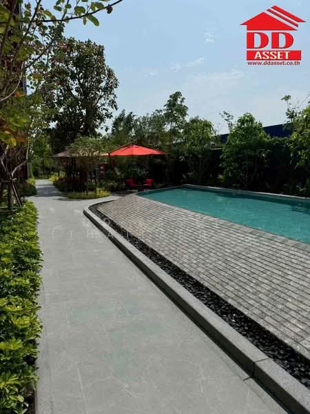 Dcondo Vivid Rangsit, Pathum Thani, Phaholyothin Road, Khlong Nung, Khlong Luang, Pathum Thani, 1 Bedroom, 26 sqm, Condo For Rent, by DD Asset (Thailand) Co.,Ltd, 500213165 - DDproperty.com