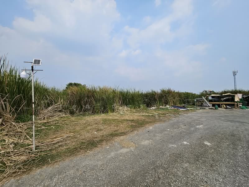 ขายที่ดิน ซอยเฉลิมพระเกียรติ ร.9 ซอย 28 ขนาด 386 ตร.ว. ใกล้สวนหลวง ร.9, กรุงเทพ, หนองบอน, ประเวศ, กรุงเทพ, 1,544 ตร.ม., ที่ดิน ขาย, โดย คุณ ณิชาภา, 500213203 - DDproperty.com