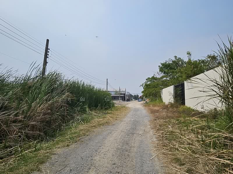 ขายที่ดิน ซอยเฉลิมพระเกียรติ ร.9 ซอย 28 ขนาด 386 ตร.ว. ใกล้สวนหลวง ร.9, กรุงเทพ, หนองบอน, ประเวศ, กรุงเทพ, 1,544 ตร.ม., ที่ดิน ขาย, โดย คุณ ณิชาภา, 500213203 - DDproperty.com