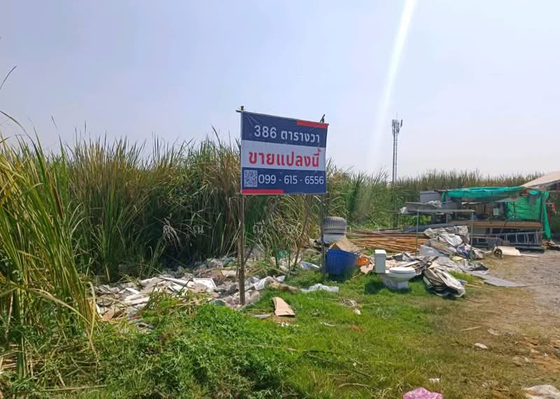 ขายที่ดิน ซอยเฉลิมพระเกียรติ ร.9 ซอย 28 ขนาด 386 ตร.ว. ใกล้สวนหลวง ร.9, Bangkok, Nong Bon, Prawet, Bangkok, , 1,544 sqm, Land For Sale, by คุณ ณิชาภา, 500213203 - DDproperty.com