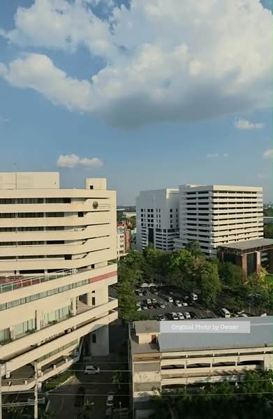 COBE Kaset-Sripatum, Bangkok, Phahon Yothin Rd, Lat Yao, Chatuchak, Bangkok, 1 Bedroom, 31 sqm, Condo For Rent, by หทัยชนก แสนเสร็จ, 500213300 - DDproperty.com