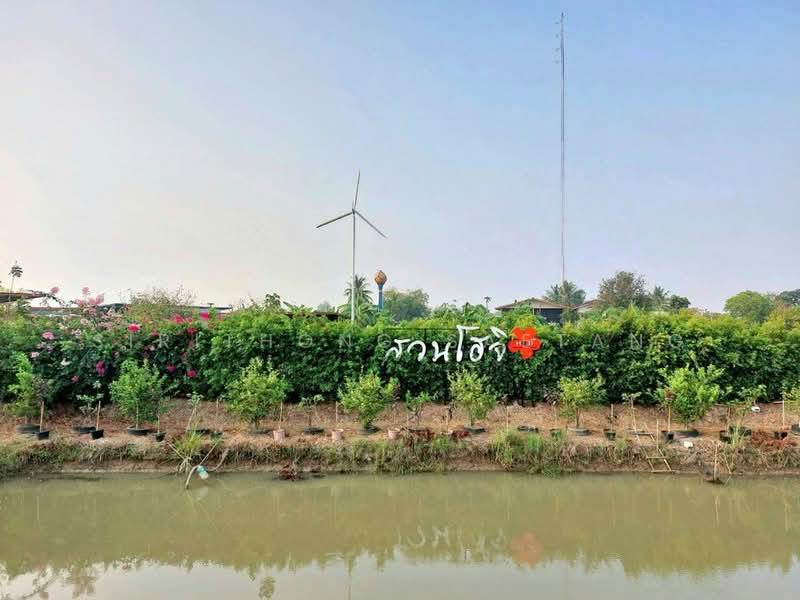 ขาย - ที่ดินสวนโฮจิ 3 ไร่ มีได้ที่งอก 1 ไร่ รวม 4 ไร่ หน้ากว้าง 100 เมตร ติดถนน 3502 หนองหญ้าไซ สุพรรณบุรี, สุพรรณบุรี