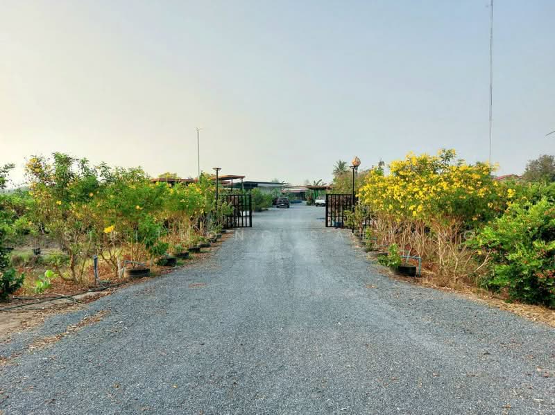 ขาย - ที่ดินสวนโฮจิ 3 ไร่ มีได้ที่งอก 1 ไร่ รวม 4 ไร่ หน้ากว้าง 100 เมตร ติดถนน 3502 หนองหญ้าไซ สุพรรณบุรี, สุพรรณบุรี