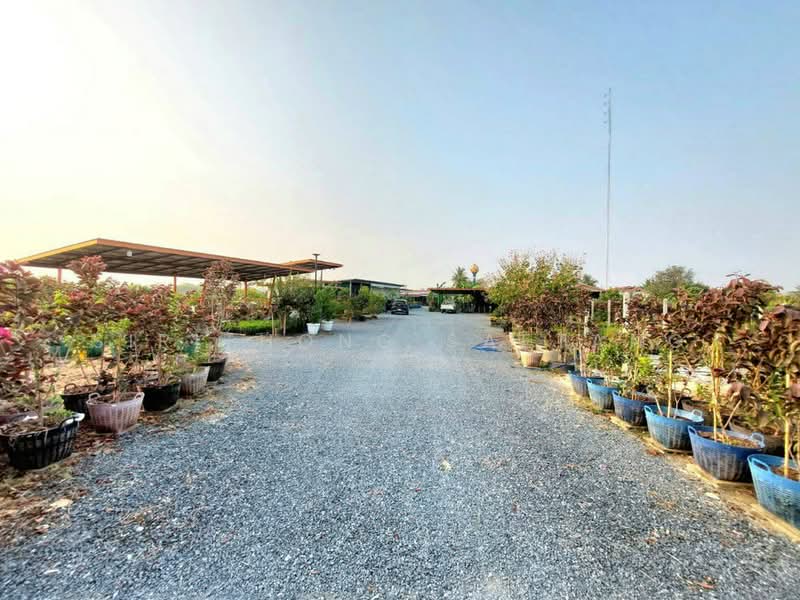 ขาย - ที่ดินสวนโฮจิ 3 ไร่ มีได้ที่งอก 1 ไร่ รวม 4 ไร่ หน้ากว้าง 100 เมตร ติดถนน 3502 หนองหญ้าไซ สุพรรณบุรี, สุพรรณบุรี