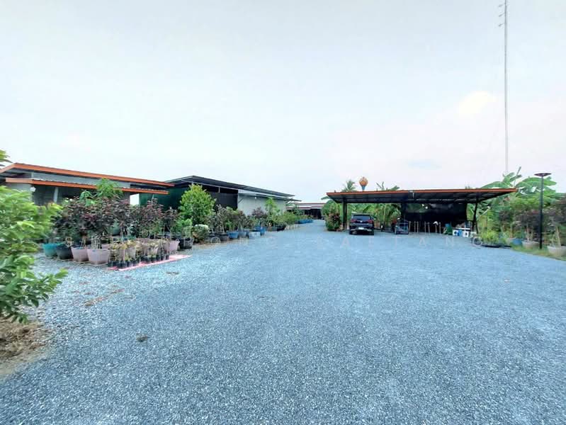 Land for sell (Hoji Garden), 100 meters frontage, located on 3502 Road, Nong Ya Sai, Suphanburi, Suphan Buri, 3502, Nong Pho, Nong Ya Sai, Suphan Buri, , 4,800 sqm, Land For Sale, by Sirithong Saetang, 500213385 - DDproperty.com