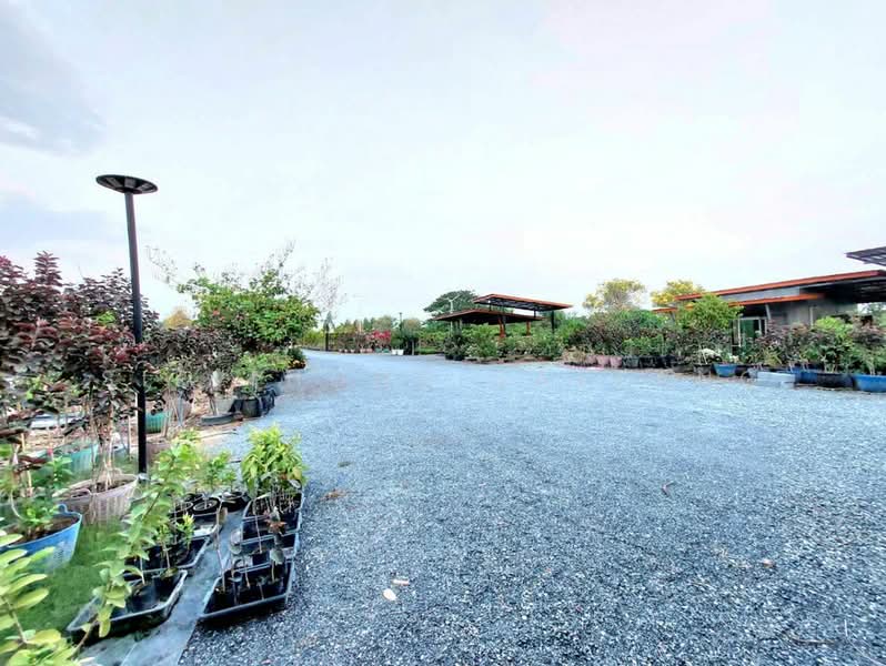 Land for sell (Hoji Garden), 100 meters frontage, located on 3502 Road, Nong Ya Sai, Suphanburi, Suphan Buri, 3502, Nong Pho, Nong Ya Sai, Suphan Buri, , 4,800 sqm, Land For Sale, by Sirithong Saetang, 500213385 - DDproperty.com