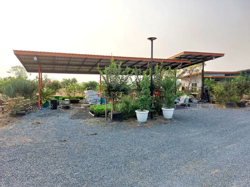 Land for sell (Hoji Garden), 100 meters frontage, located on 3502 Road, Nong Ya Sai, Suphanburi, Suphan Buri, 3502, Nong Pho, Nong Ya Sai, Suphan Buri, , 4,800 sqm, Land For Sale, by Sirithong Saetang, 500213385 - DDproperty.com