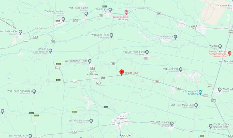 ขาย - ที่ดินสวนโฮจิ 3 ไร่ มีได้ที่งอก 1 ไร่ รวม 4 ไร่ หน้ากว้าง 100 เมตร ติดถนน 3502 หนองหญ้าไซ สุพรรณบุรี, สุพรรณบุรี