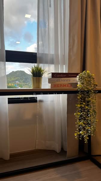 The Base Bukit Phuket : เดอะ เบส บูกิต, ภูเก็ต, 12 ถ.วิชิตสงคราม, วิชิต, เมืองภูเก็ต, ภูเก็ต, 30 ตร.ม., คอนโด ให้เช่า, โดย Prime Global Asset ( Bom ), 500213474 - DDproperty.com