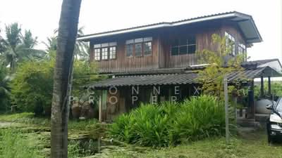 ขาย - ที่ดินเปล่า ถนนประชาร่วมใจแถว วัดไร่ขิง, นครปฐม