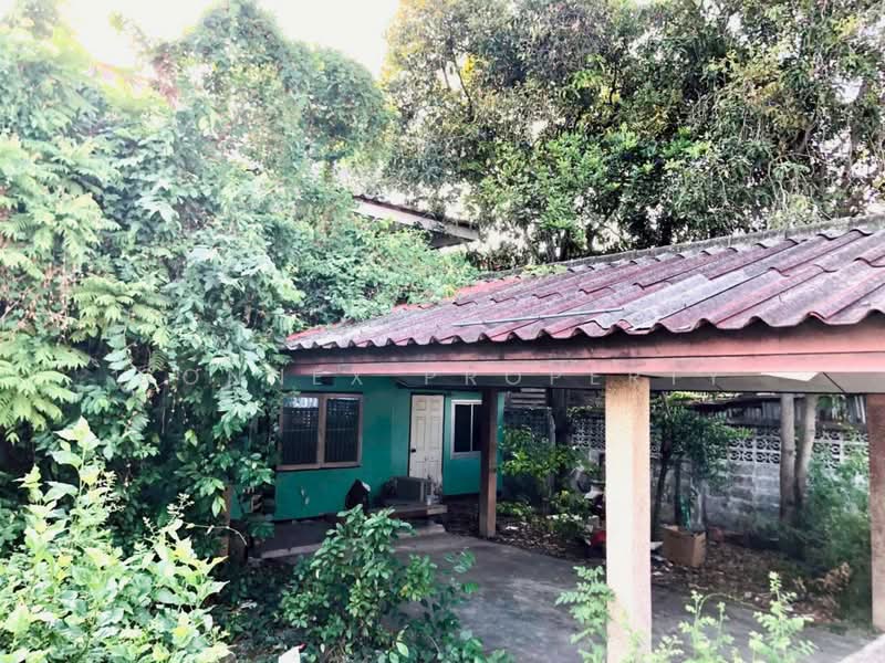 บ้านเดี่ยว 2 ชั้น ลาดพร้าว 71 นาคนิวาส 15 แยก 6, กรุงเทพ, -, ลาดพร้าว, ลาดพร้าว, กรุงเทพ, 21 ตร.ม., บ้านเดี่ยว ขาย, โดย Connex Property, 500213516 - DDproperty.com