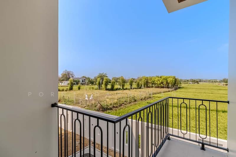 Luxury Modern Pool Villa, เชียงใหม่, บ้านแหวน, หางดง, เชียงใหม่, 550 ตร.ม., บ้านเดี่ยว ขาย, โดย Tanannat Porntadapattanayothin, 500213564 - DDproperty.com