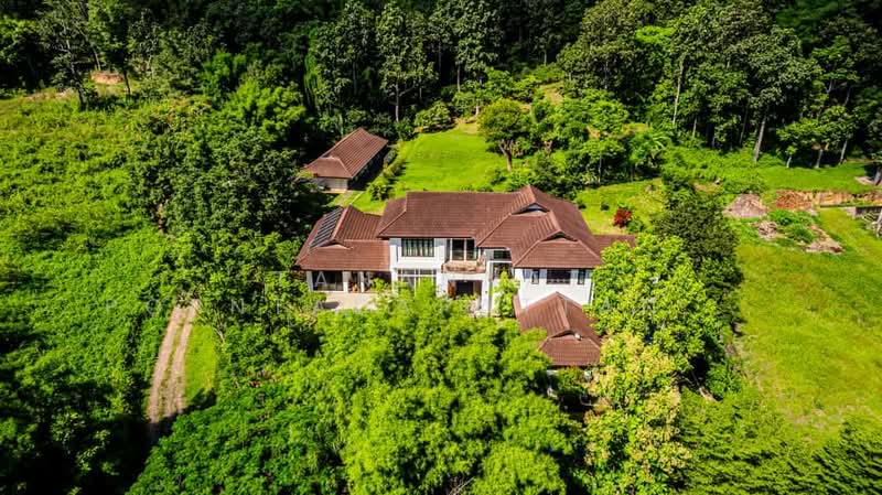 ขาย - บ้านพูลวิลล่า, เชียงใหม่