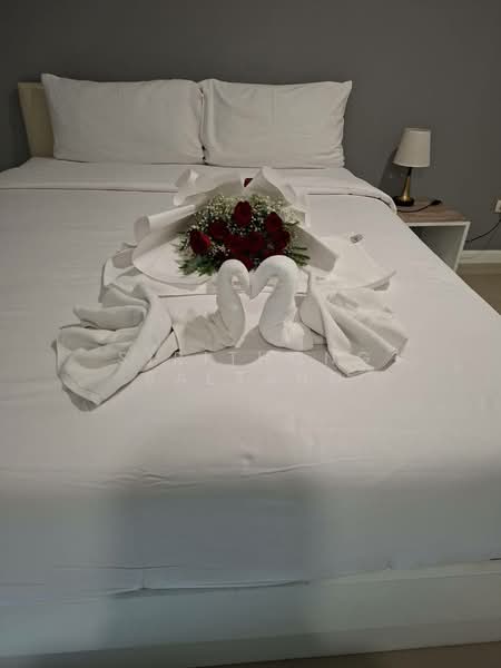 CASA Residence Hotel, Bangkok, 99/282 Soi Benchamit, Chaengwattana Road, Thung Song Hong, Lak Si, Bangkok, Studio, 18 sqm, Apartment For Rent, by Sirithong Saetang, 500213596 - DDproperty.com