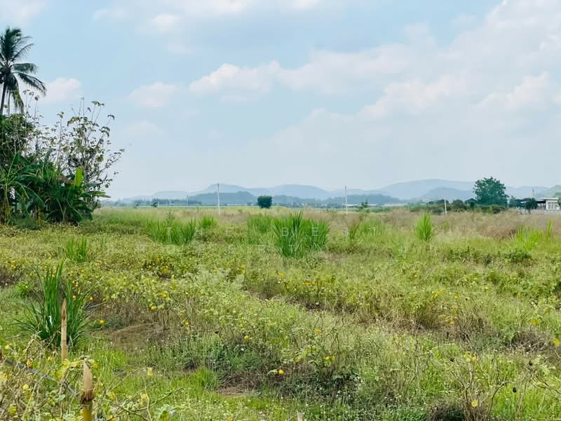 ขาย - ที่ดินโพธาราม ราชบุรี, ราชบุรี