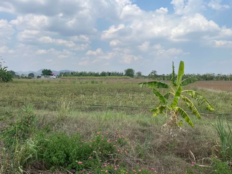 ที่ดินโพธาราม ราชบุรี, Ratchaburi, Nong Kwang, Photharam, Ratchaburi, , 1,600 sqm, Land For Sale, by The Best Property  มุก, 500213645 - DDproperty.com