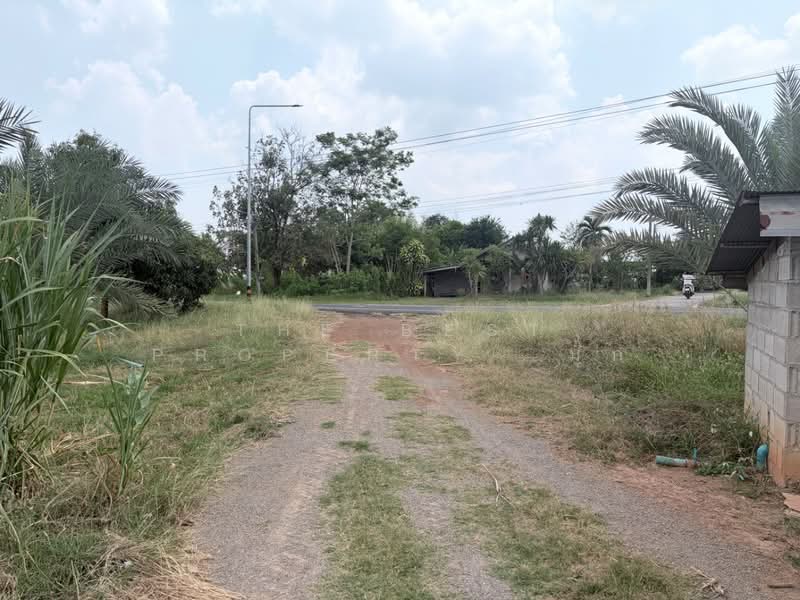 ที่ดินโพธาราม ราชบุรี, Ratchaburi, Nong Kwang, Photharam, Ratchaburi, , 1,600 sqm, Land For Sale, by The Best Property  มุก, 500213645 - DDproperty.com