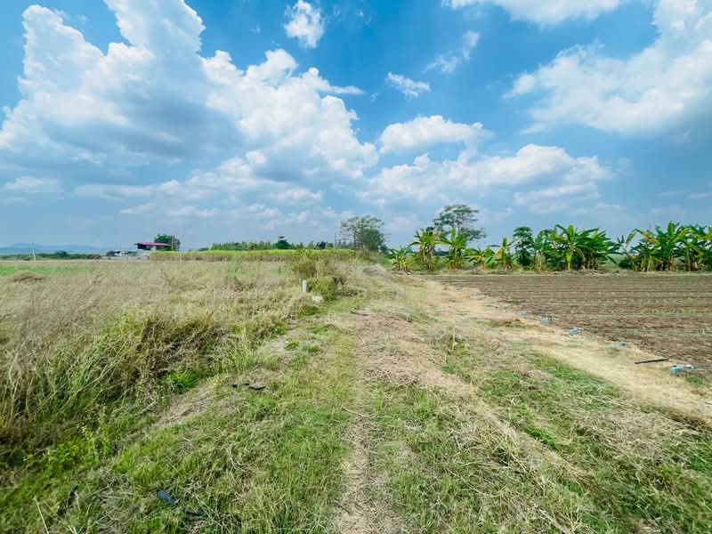 ที่ดินโพธาราม ราชบุรี, Ratchaburi, Nong Kwang, Photharam, Ratchaburi, , 1,600 sqm, Land For Sale, by The Best Property  มุก, 500213645 - DDproperty.com