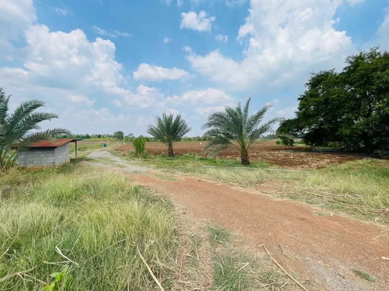 ที่ดินโพธาราม ราชบุรี, Ratchaburi, Nong Kwang, Photharam, Ratchaburi, , 1,600 sqm, Land For Sale, by The Best Property  มุก, 500213645 - DDproperty.com