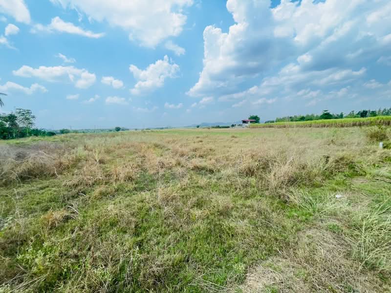 ขาย - ที่ดินโพธาราม ราชบุรี, ราชบุรี