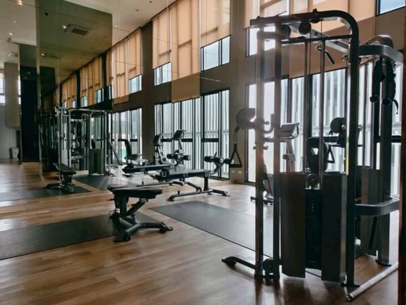 ขาย - เคน แอทติจูด รัตนธิเบศร์ (Ken Attitude Rattanathibet), นนทบุรี