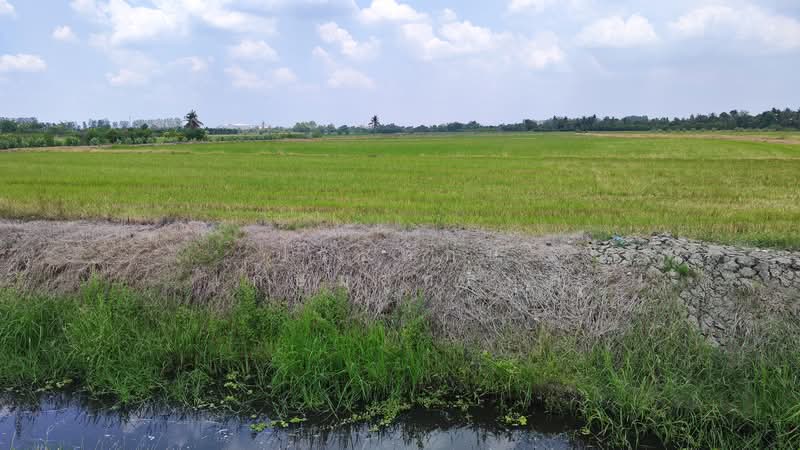 Land Area Code1097 approx. 23,216 Square Meters, Kamphaeng Saen District, Nakhon Pathom Province, Nakhon Pathom, 4002, Kamphaeng Saen, Kamphaeng Saen, Nakhon Pathom, , 23,216 sqm, Land For Sale, by ประทักษ์ เกษมสุทธิกุล, 500213708 - DDproperty.com