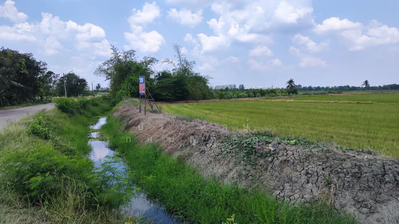 Land Area Code1097 approx. 23,216 Square Meters, Kamphaeng Saen District, Nakhon Pathom Province, Nakhon Pathom, 4002, Kamphaeng Saen, Kamphaeng Saen, Nakhon Pathom, , 23,216 sqm, Land For Sale, by ประทักษ์ เกษมสุทธิกุล, 500213708 - DDproperty.com