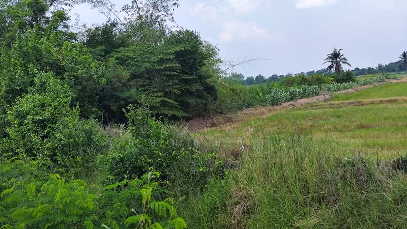 ที่ดินรหัส1097 14-2-4 ไร่ ต.ห้วยด้วน อ.กำแพงแสน จ.นครปฐม, นครปฐม, 4002, กำแพงแสน, กำแพงแสน, นครปฐม, 23,216 ตร.ม., ที่ดิน ขาย, โดย ประทักษ์ เกษมสุทธิกุล, 500213708 - DDproperty.com