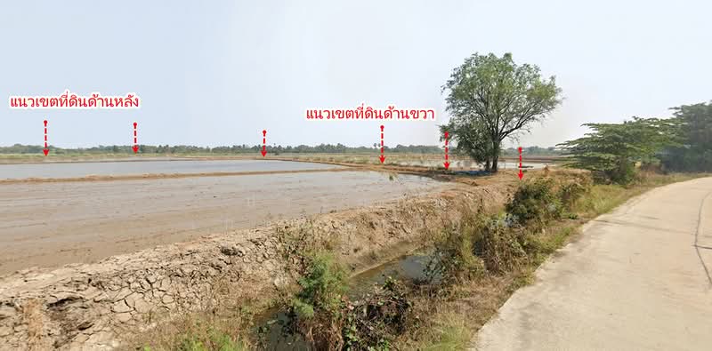 ที่ดินรหัส1097 14-2-4 ไร่ ต.ห้วยด้วน อ.กำแพงแสน จ.นครปฐม, นครปฐม, 4002, กำแพงแสน, กำแพงแสน, นครปฐม, 23,216 ตร.ม., ที่ดิน ขาย, โดย ประทักษ์ เกษมสุทธิกุล, 500213708 - DDproperty.com