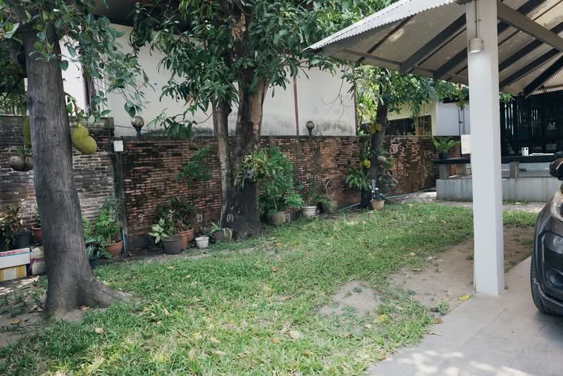 house for rent sukhumvit 65, Bangkok, สุขุมวิท 65, Phra Kanong Nua, Watthana, Bangkok, 2 Bedrooms, 116 sqm, Single Detached House For Rent, by ธีรรัชต์ ศรีเล็กดี, 500213718 - DDproperty.com