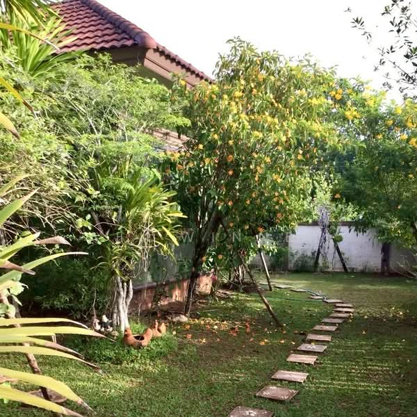 ขาย - ขายบ้านเดี่ยวหลังใหญ่ สภาพนางฟ้า บรรยากาศร่มรื่น อำเภอกันตัง จังหวัดตรัง, ตรัง