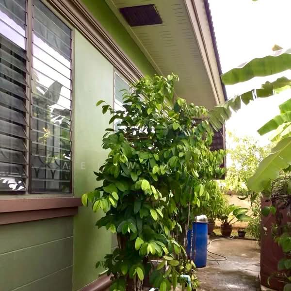 ขาย - ขายบ้านเดี่ยวหลังใหญ่ สภาพนางฟ้า บรรยากาศร่มรื่น อำเภอกันตัง จังหวัดตรัง, ตรัง