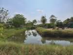 ที่ดินองครักษ์ นครนายก, นครนายก